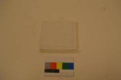 Napkin
