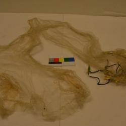 Veil