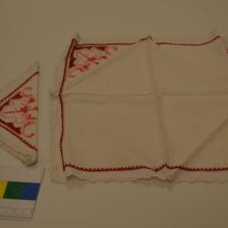 Napkin