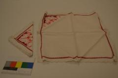 Napkin