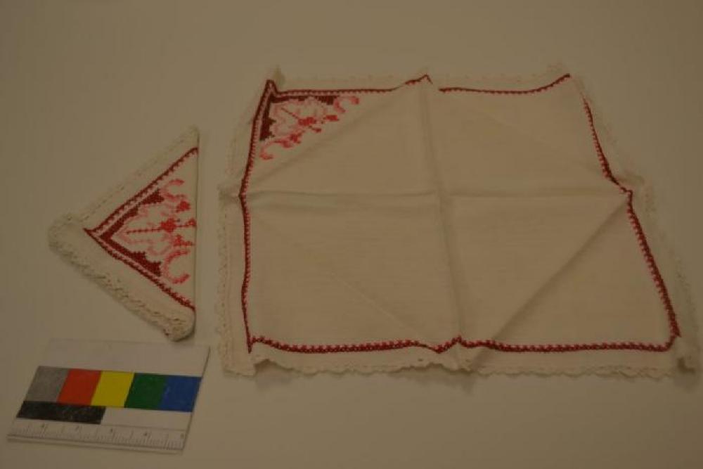 Napkin