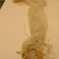 Veil