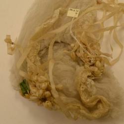 Veil